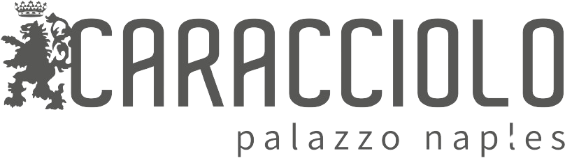 Logo Palazzo Caracciolo